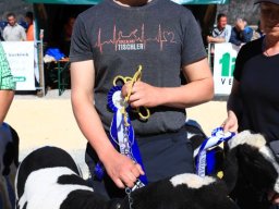 2019_ausstellung polling_422